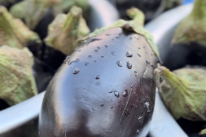 Gazze’de 500 Kişilik Sıcak Yemek Dağıtımı