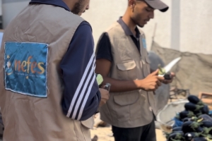 Gazze’de 500 Kişilik Sıcak Yemek Dağıtımı