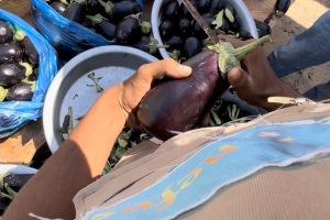 Gazze’de 500 Kişilik Sıcak Yemek Dağıtımı